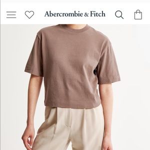 NWT Taupe Oversized Crop T-Shirt From Abercrombie & Fitch